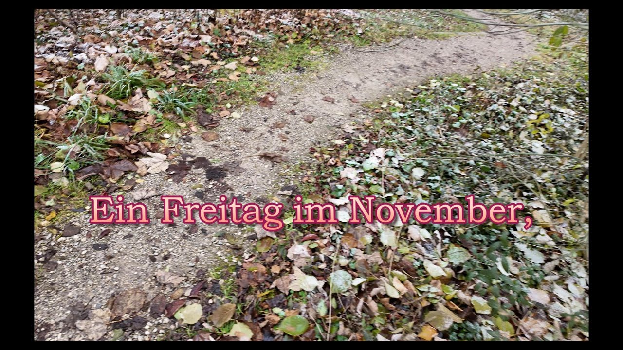 Ein Freitag im November