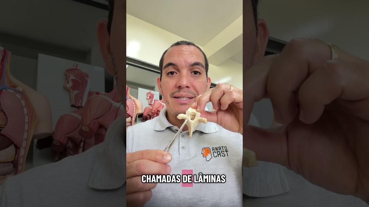 V&eacute;rtebra T&iacute;pica!!! #professordeanatomia #anatomia #vertebras #colunavertebral #corpohumano #ossos