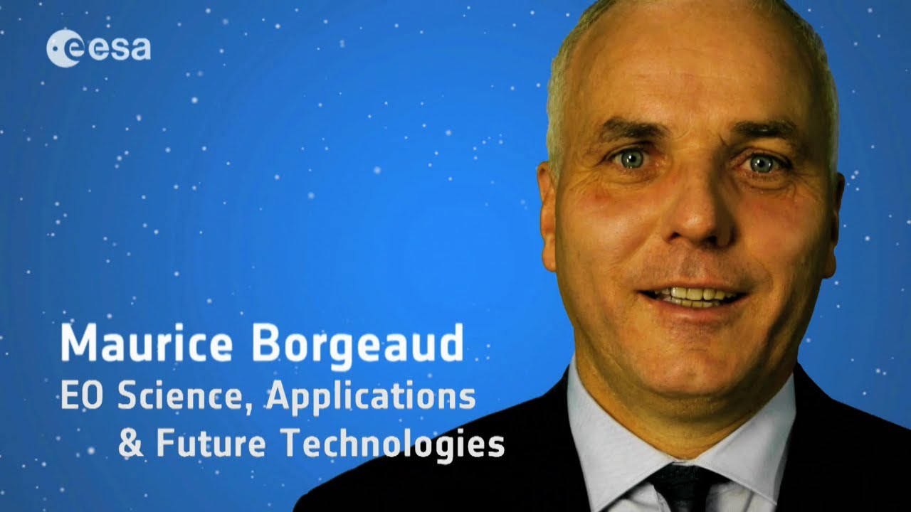 Academic Background: aerospace, electrical and software engineers in EO data exploitation