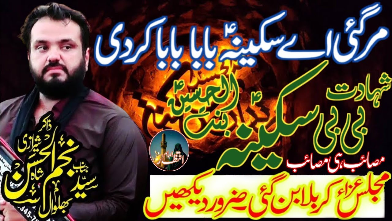 zakir syed najam ul hassan sherazi || shahadat e bibi sakina s.a || dil hila dene wala masaib 2025