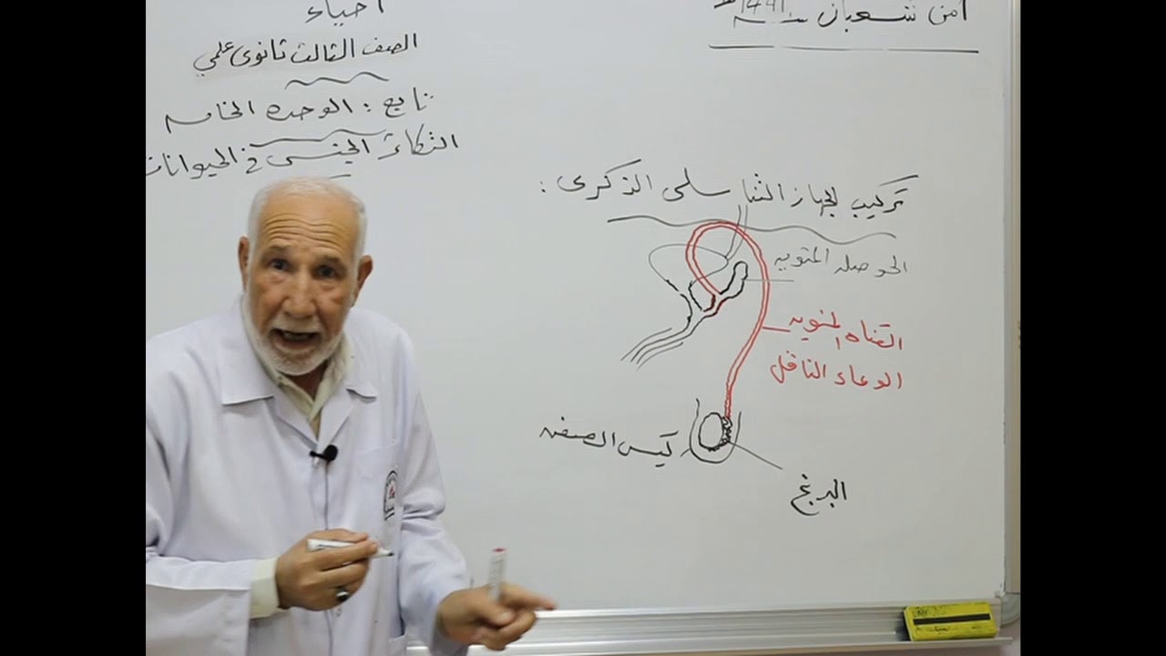 مادة الأحياء للصف الثالث الثانوي _ درس التكاثر الجنسي في الحيوانات