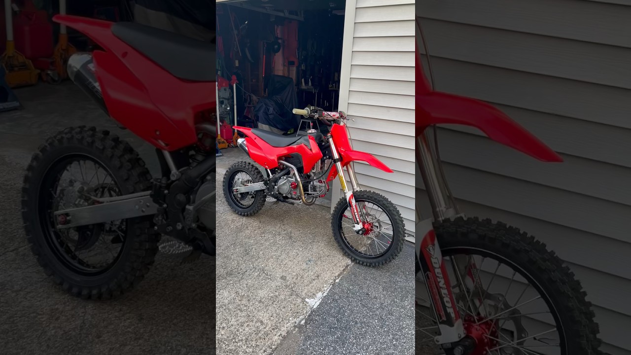 Pitsterpro LXR 201cc Build Sounds Sick! 😍#motorcycle #dirtbike #pitbike #motocross #builtnotbought
