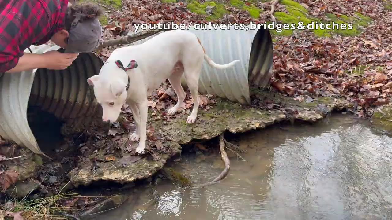 UNCLOGGING CULVERTS IN OKLAHOMA! 02/2026 NT#101