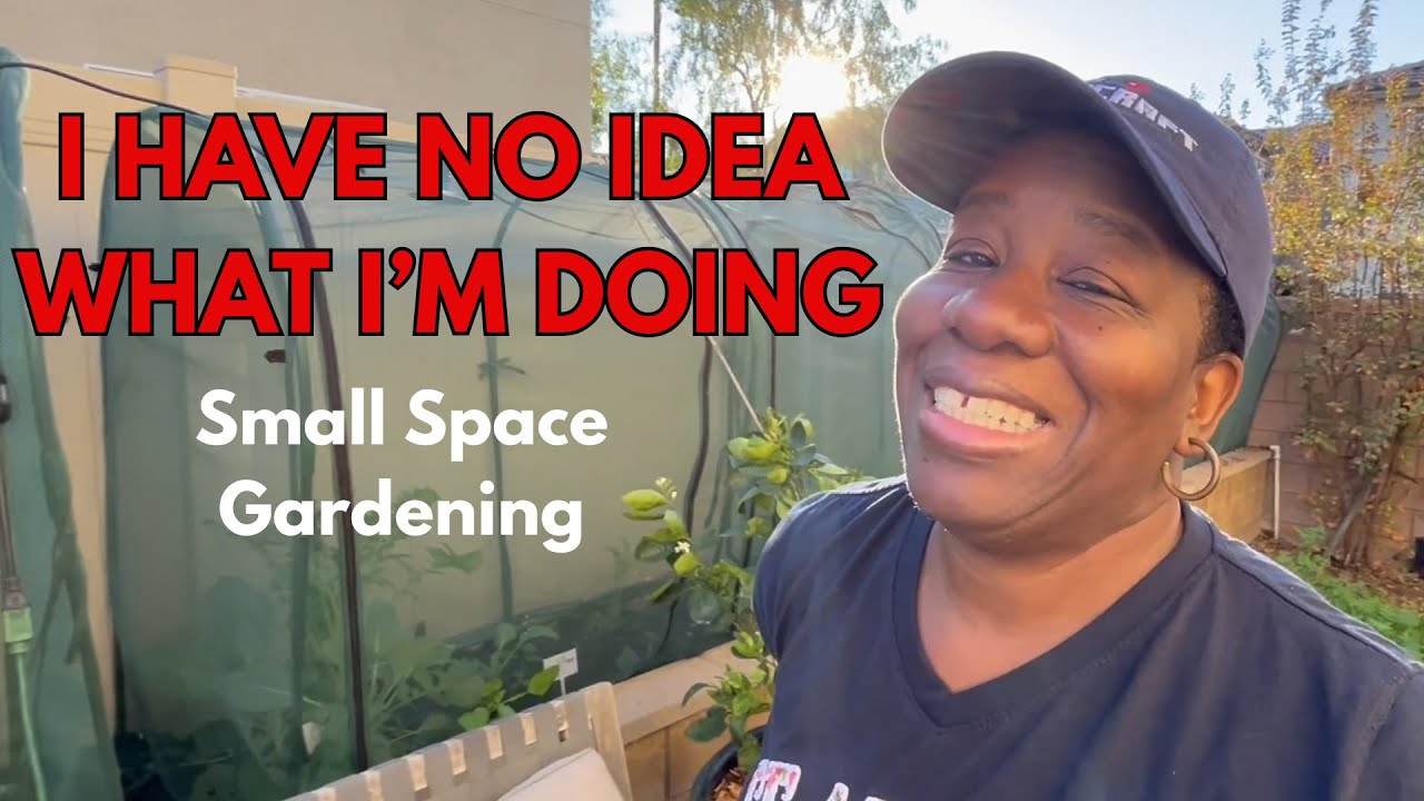 😅Gardening In Small Spaces 🌱