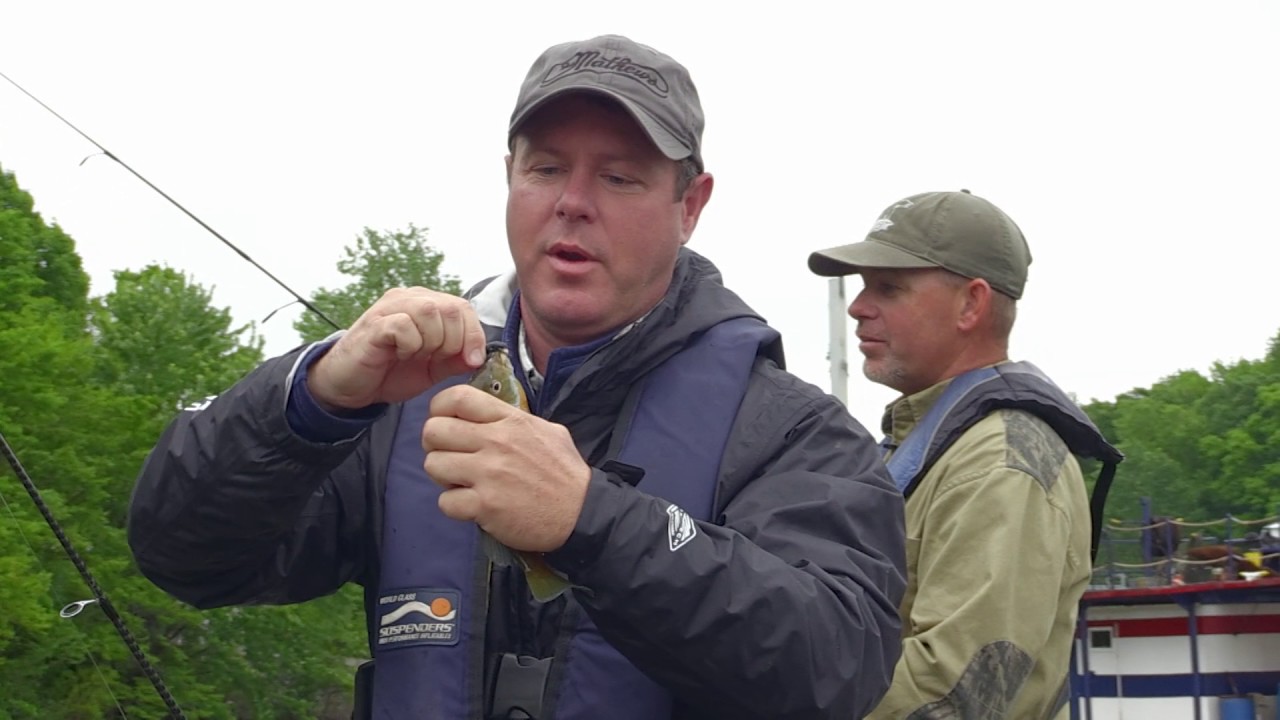 Lake Barkley Bluegill and Redear