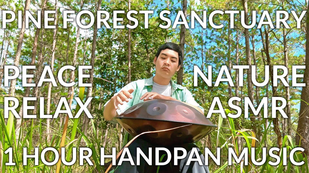 Deep Forest Handpan 432Hz | 1 Hour of Peace in the Pines