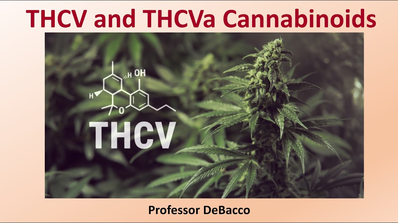 THCV and THCVa Cannabinoids