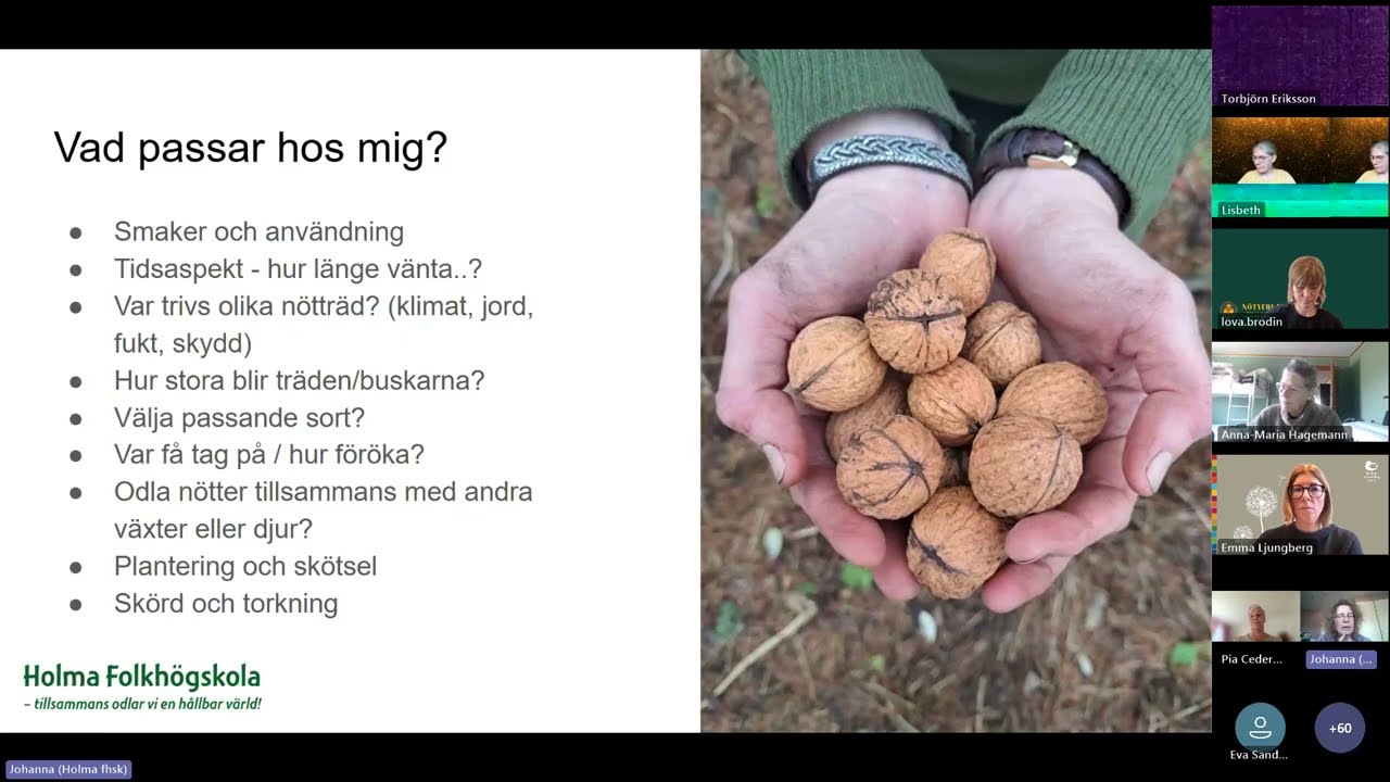 Nötter för framtiden - Småskalig nötodling med Johanna Johansson, Holma Folkhögskola
