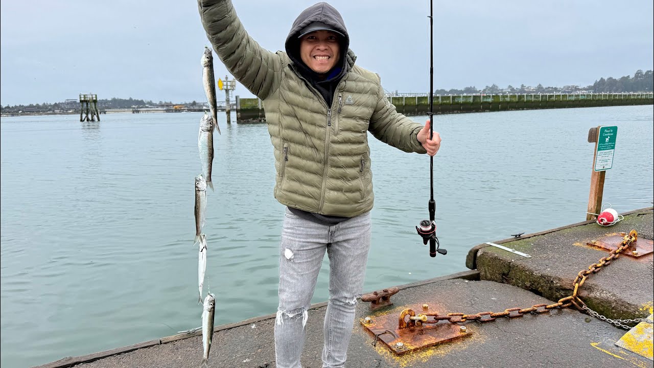 Herring Fishing Early March 2026 - They are all over!