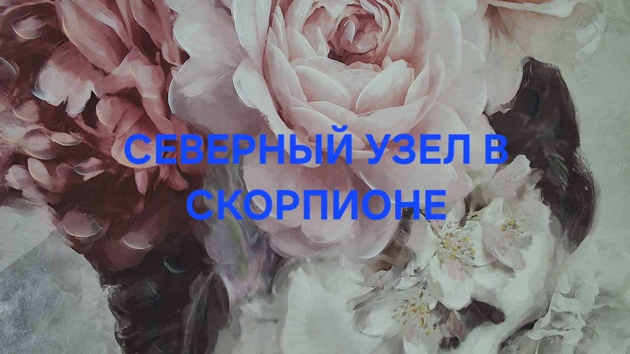 СЕВЕРНЫЙ УЗЕЛ В СКОРПИОНЕ! 💝