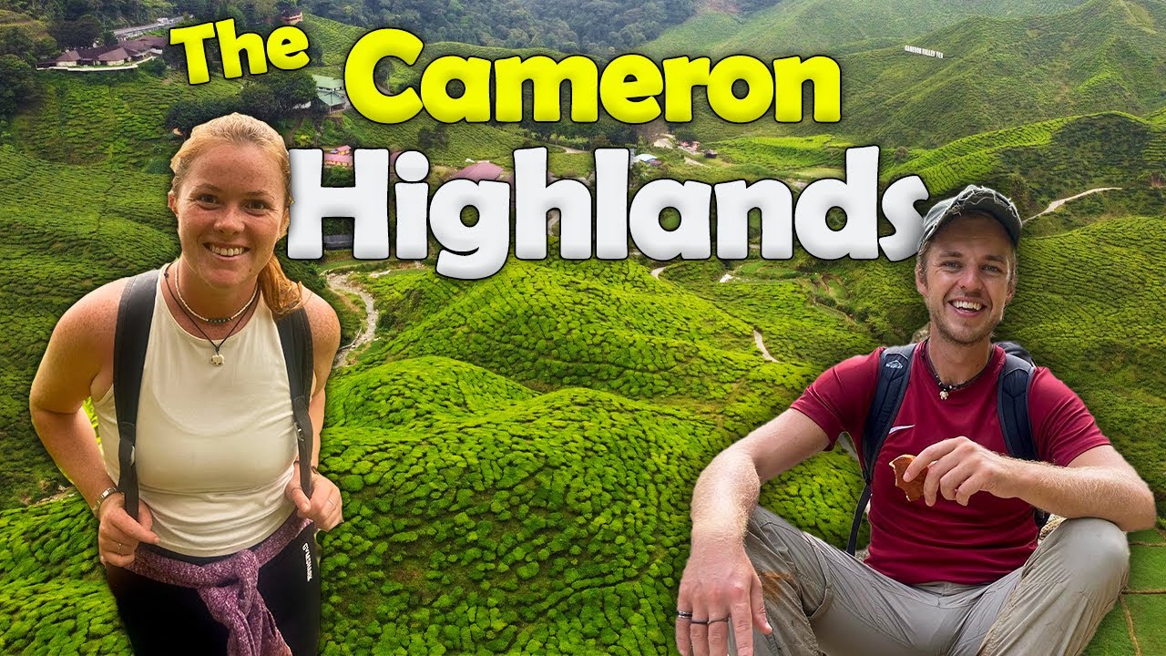 The BEAUTIFUL Cameron Highlands! Hiking the BEST trail in the Highlands