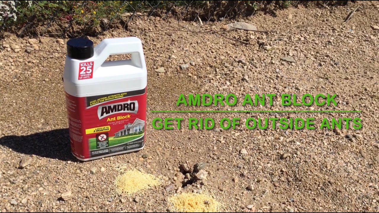 Amdro Ant Block Review