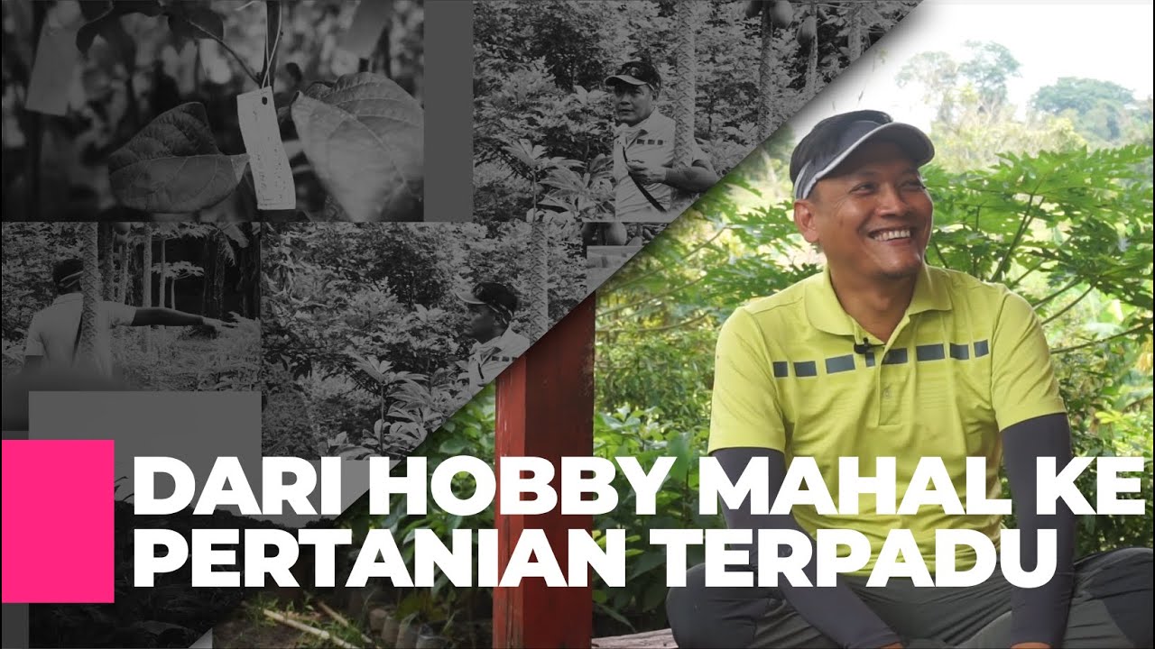 Boss Bank Asing Sukses Mengembangkan Pertanian Terpadu | Successfully Developed Integrated Farming