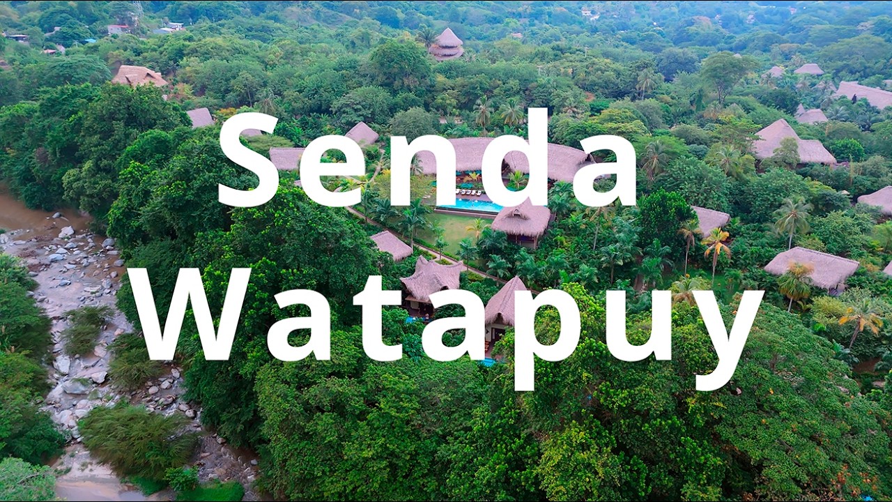 El HOTEL más ENCANTADOR cerca del parque TAYRONA 🌴🔥 | Senda Watapuy