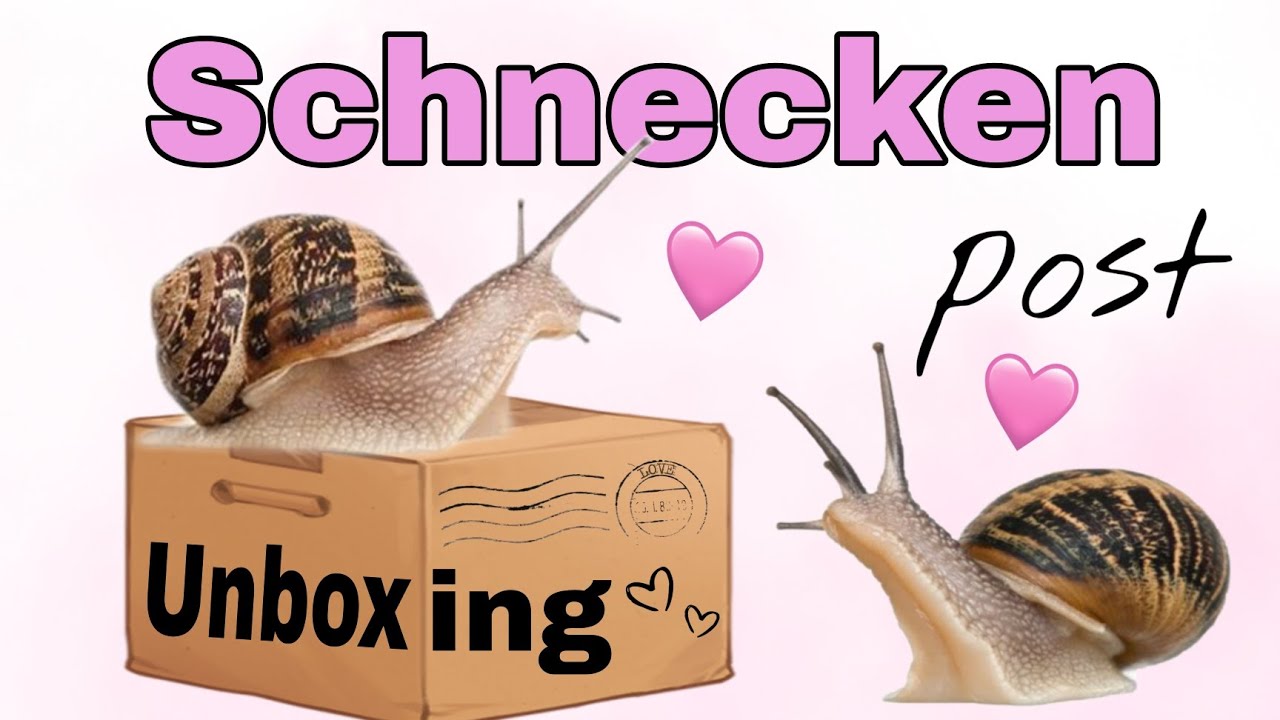 Schnecken Post 📦🐌🐌 Unboxing