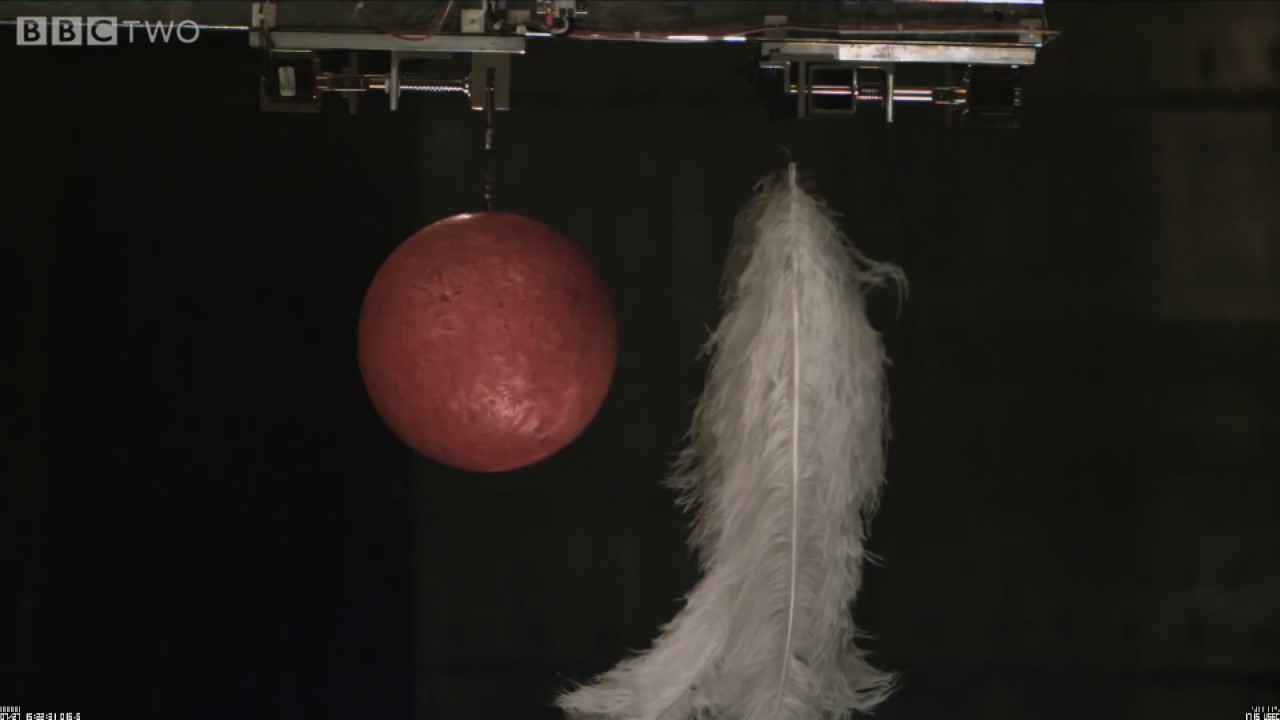 NORMAL SPEED: Bowling Ball and Feather falling in a Vacuum Chamber