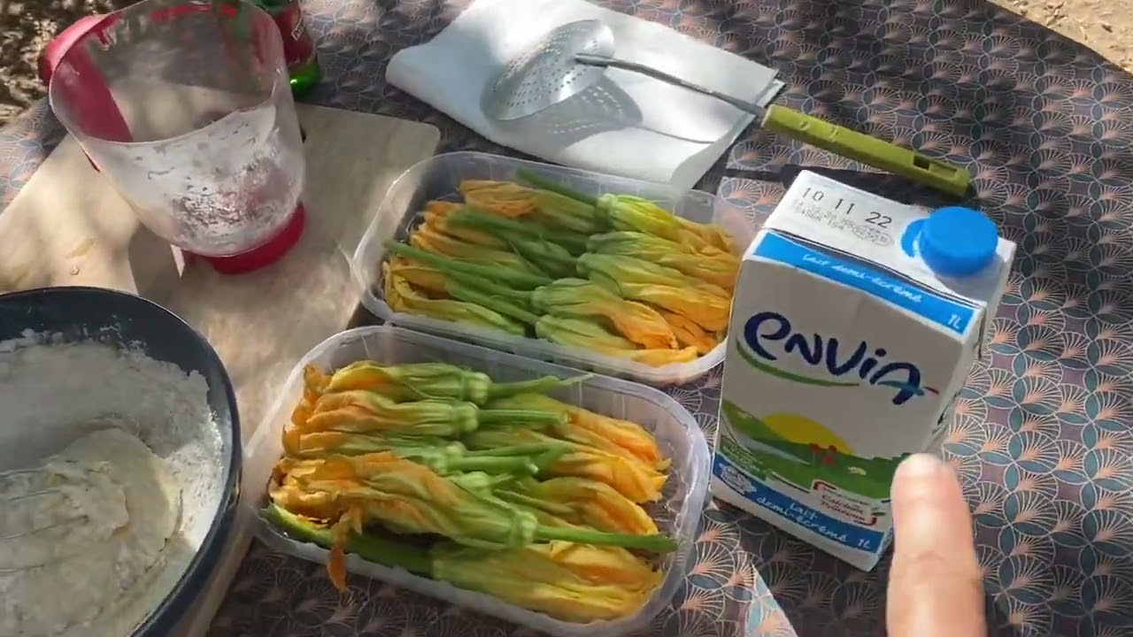 Beignets de fleurs de courgette￼