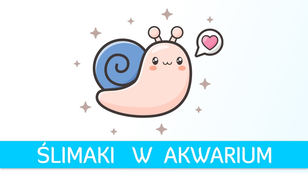 Ślimaki w akwarium - plaga, problemy, korzyści