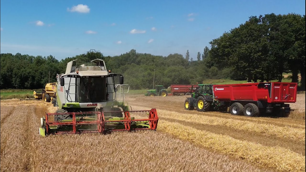 😎 Claas Lexion 540 et New Holland TX68 à la moisson d’orge 🌾| ETA MOISAN