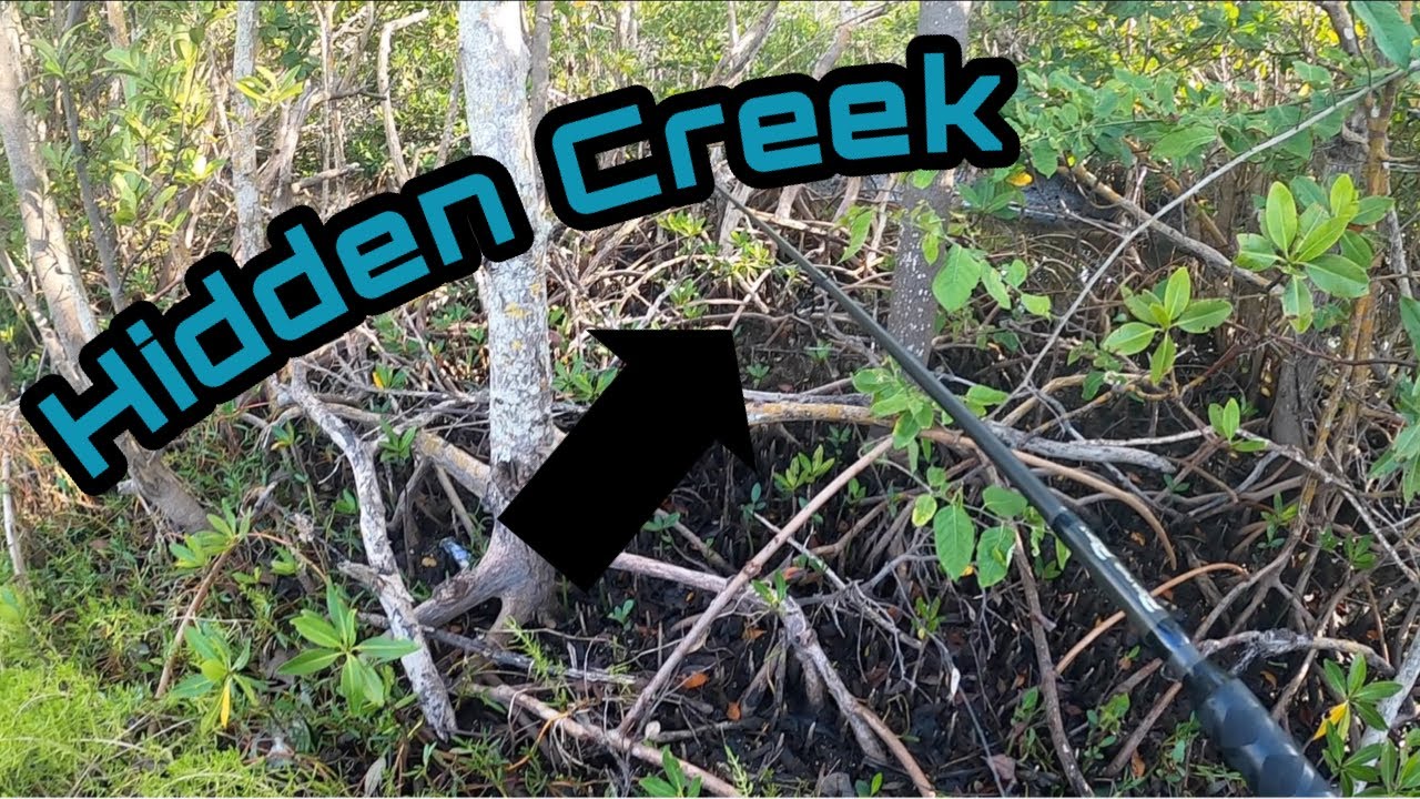 SNOOK Was Hiding In a Secret Saltwater Creek! (SWFL Fishing)