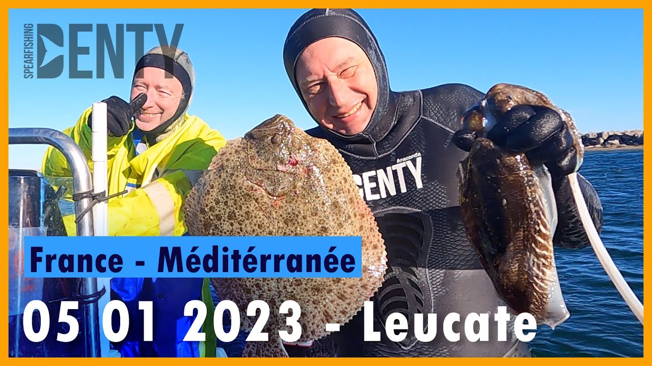 Chasse sous-marine en janvier à Leucate pour les Turbos et les seiches