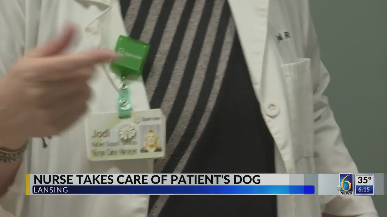 Nurse takes care of patient's dog