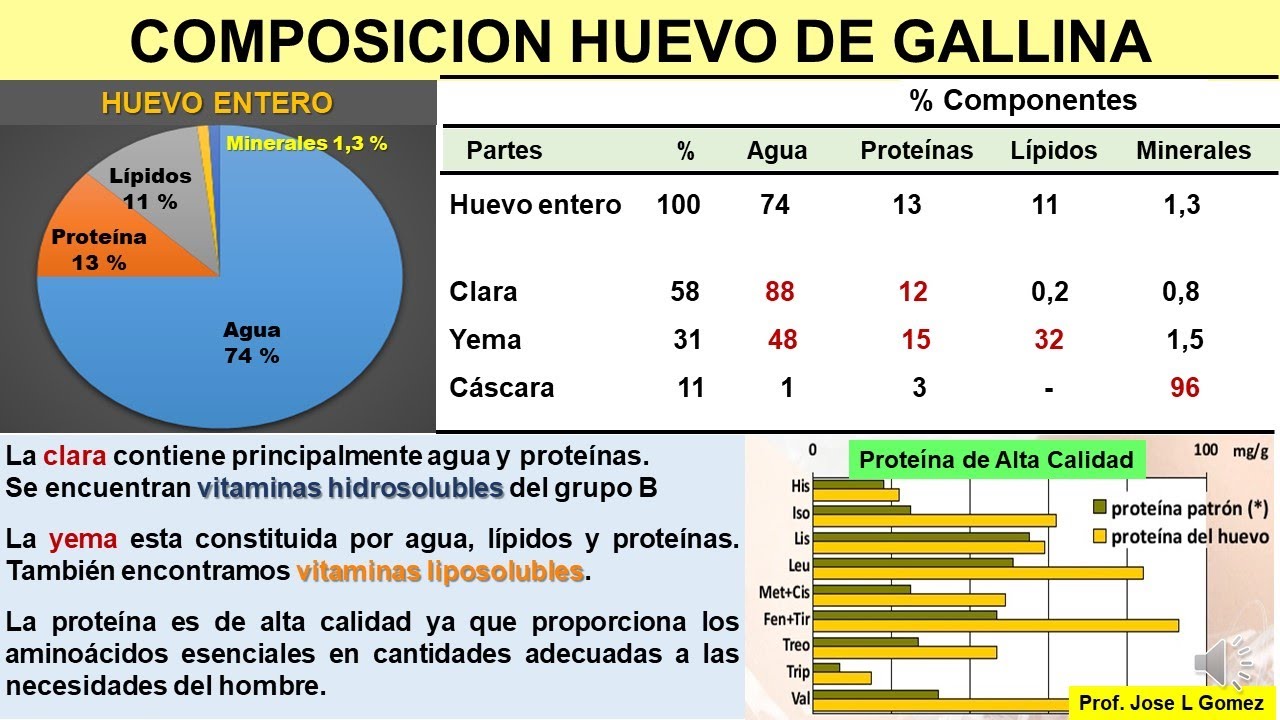 BROMATOLOGIA: HUEVO (CALIDAD NUTRICIONAL)