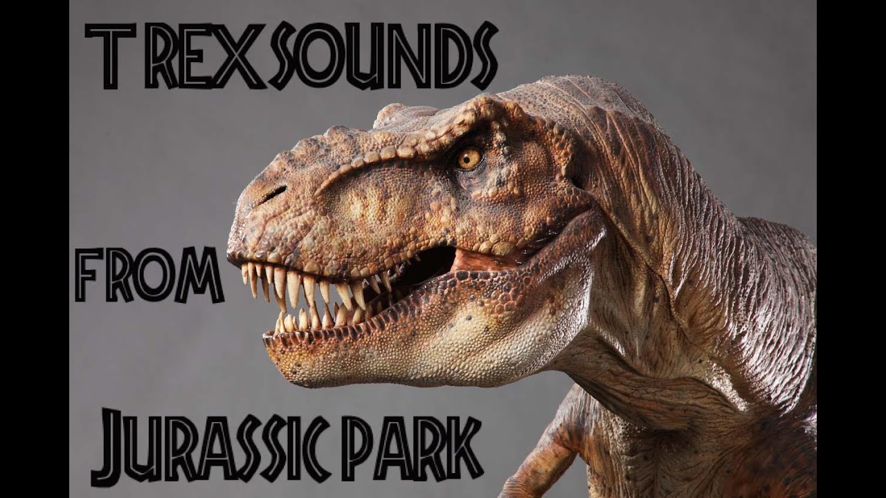 The Many sounds of The T-Rex from Jurassic Park