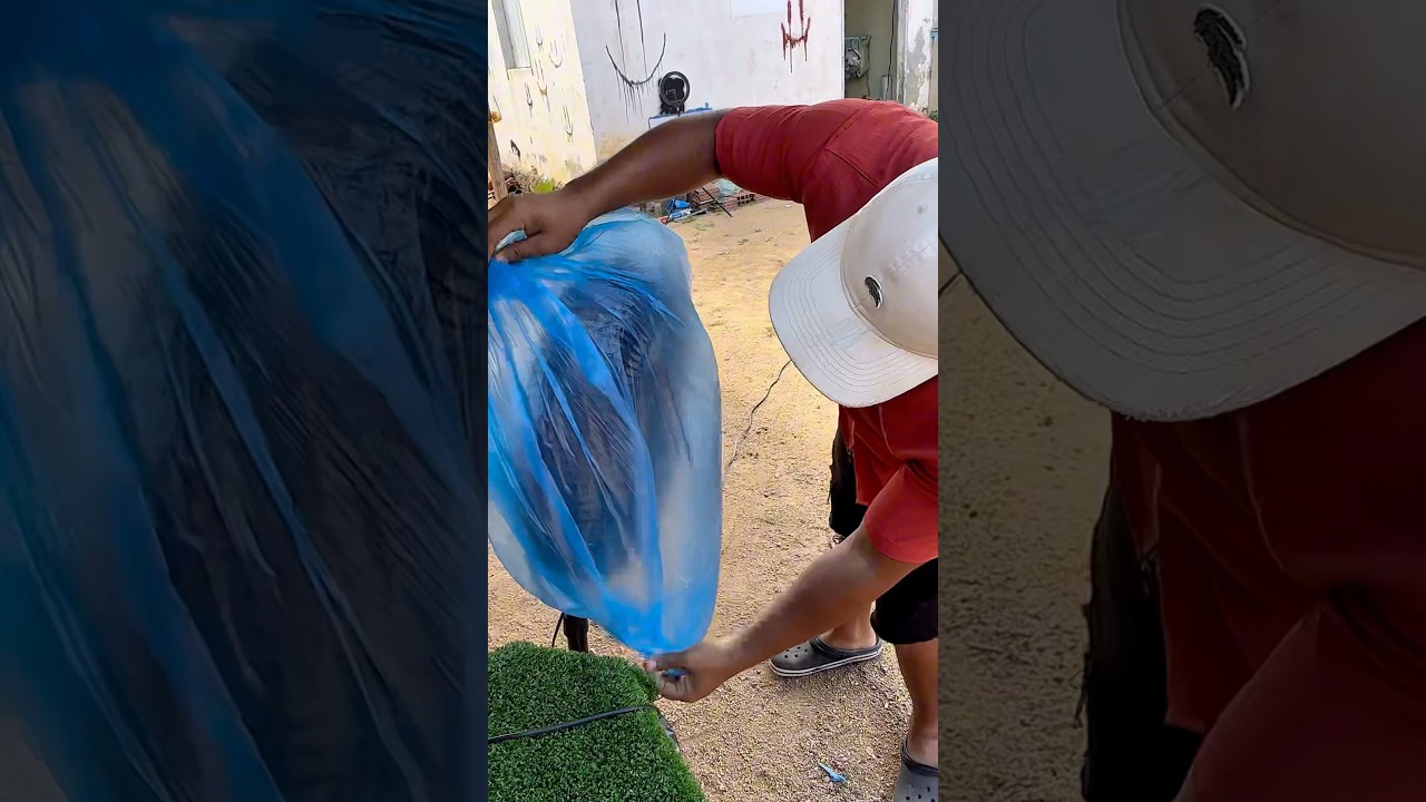 Cleaning the fan in the best possible way #lifehack #reallifehacks