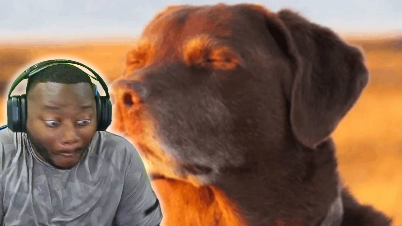 If I Laugh I LOSE