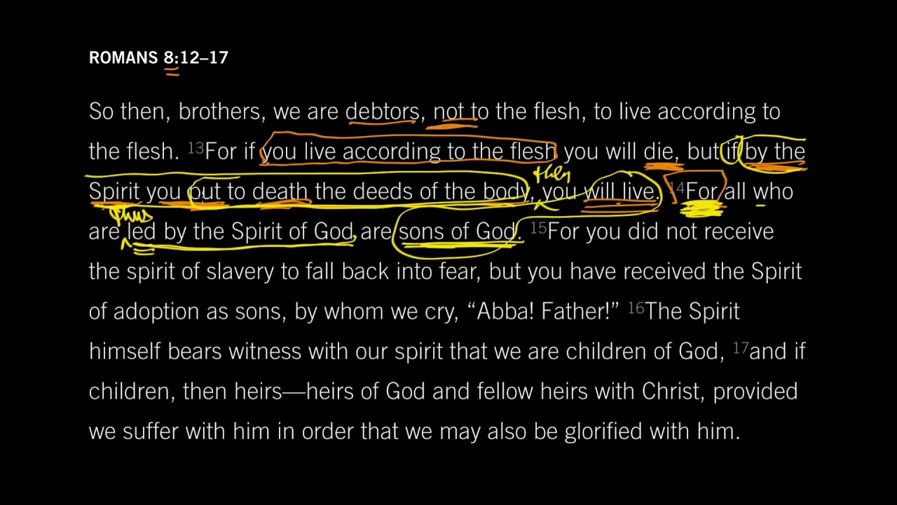 John Piper: Romans 8:14 - The Children of God [Episode 14]