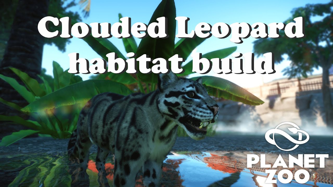 Clouded Leopard habitat speedbuild (Planet Zoo)