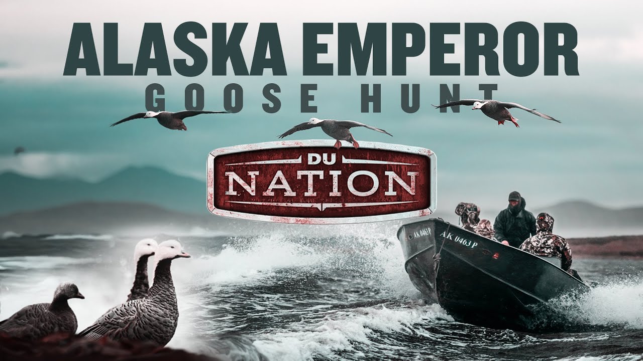 Alaska Emperor Goose Hunt of a Lifetime | DU Nation
