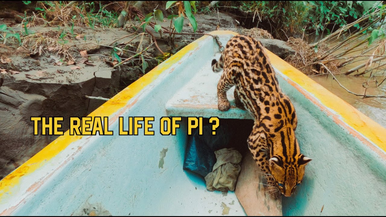 SAILING FROM ECUADOR TO PERU THROUGH THE AMAZON RAINFOREST | JUNGLE VLOG 2023 | StanExplore EP 10