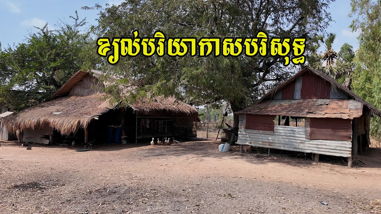 ខ្ទមស្រែកំសត់​ អាកាសធាតុខែប្រាំងក្ដៅហួតហែង​ ខ្យល់បរិយាកាសបរិសុទ្ធ