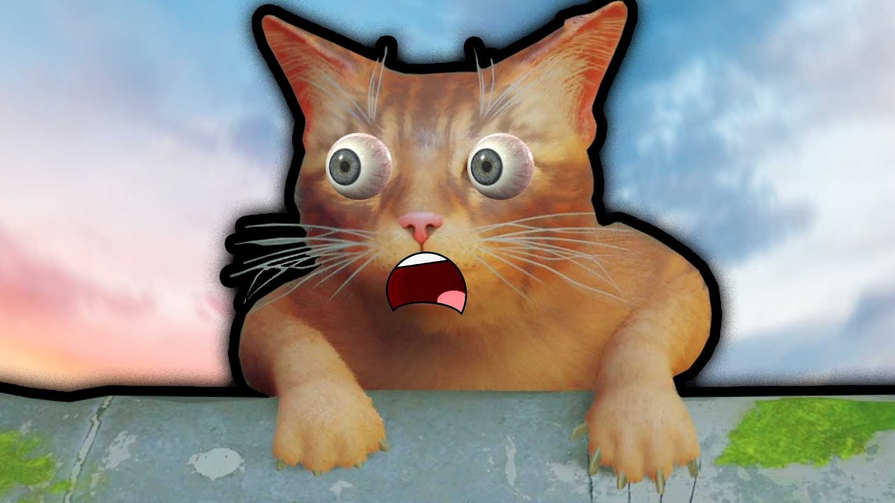MIAAAAAUUUUU!