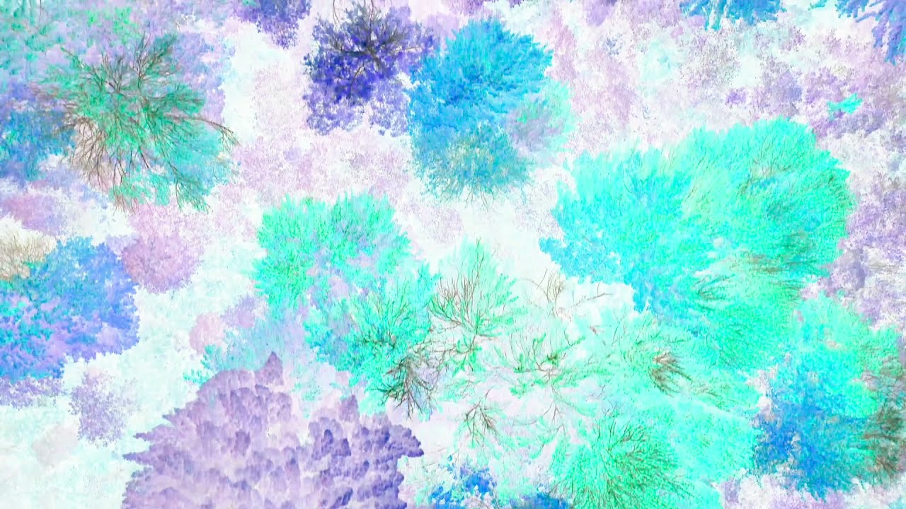 ORNOISE AUTOMNAL
