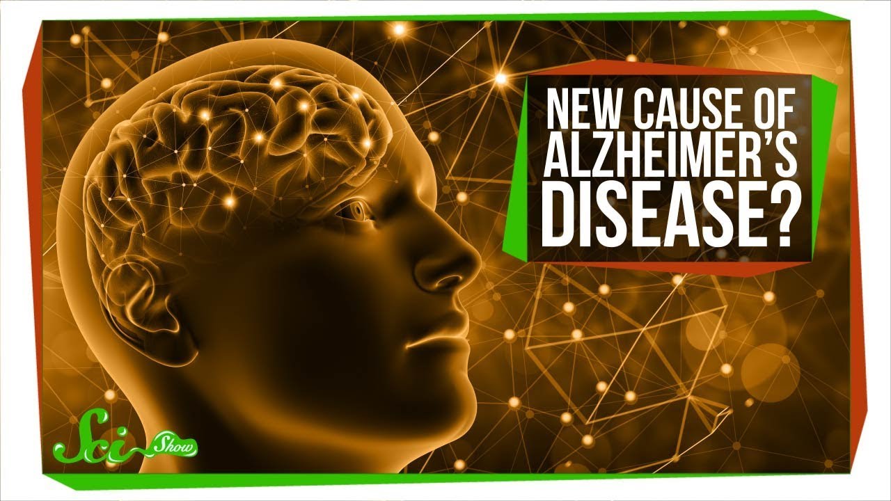 We Might Be Totally Wrong About Alzheimer’s