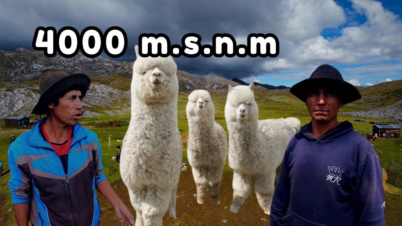 DESAFIANDO LA ALTURA I Historia de una COMUNIDAD que reta a la NATURALEZA 4000 m.s.n.m.
