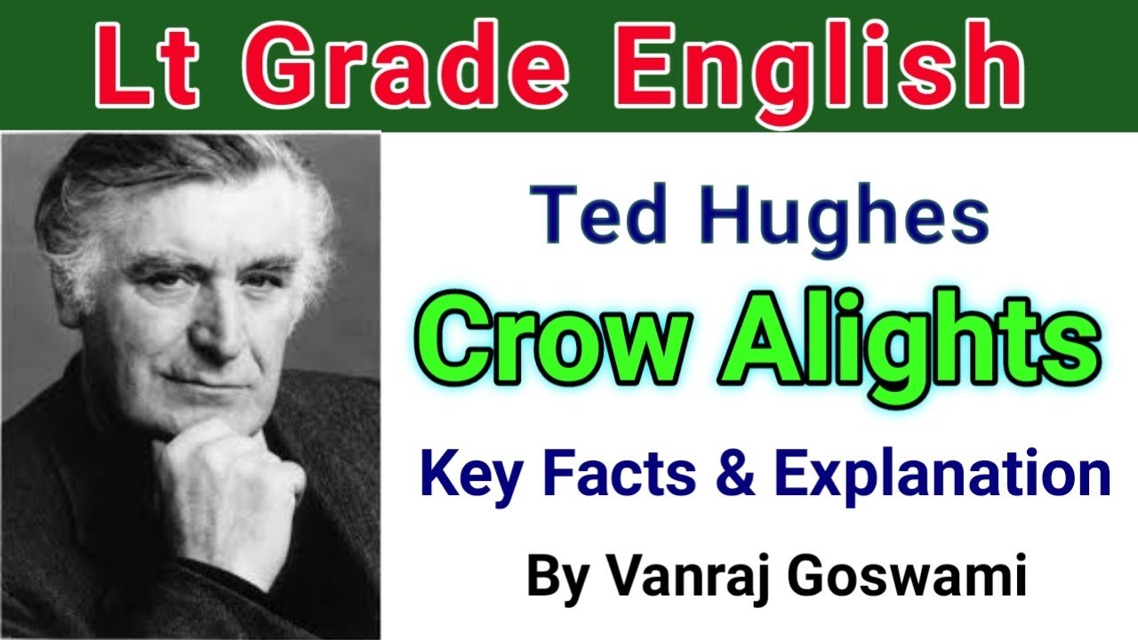 Crow Alights