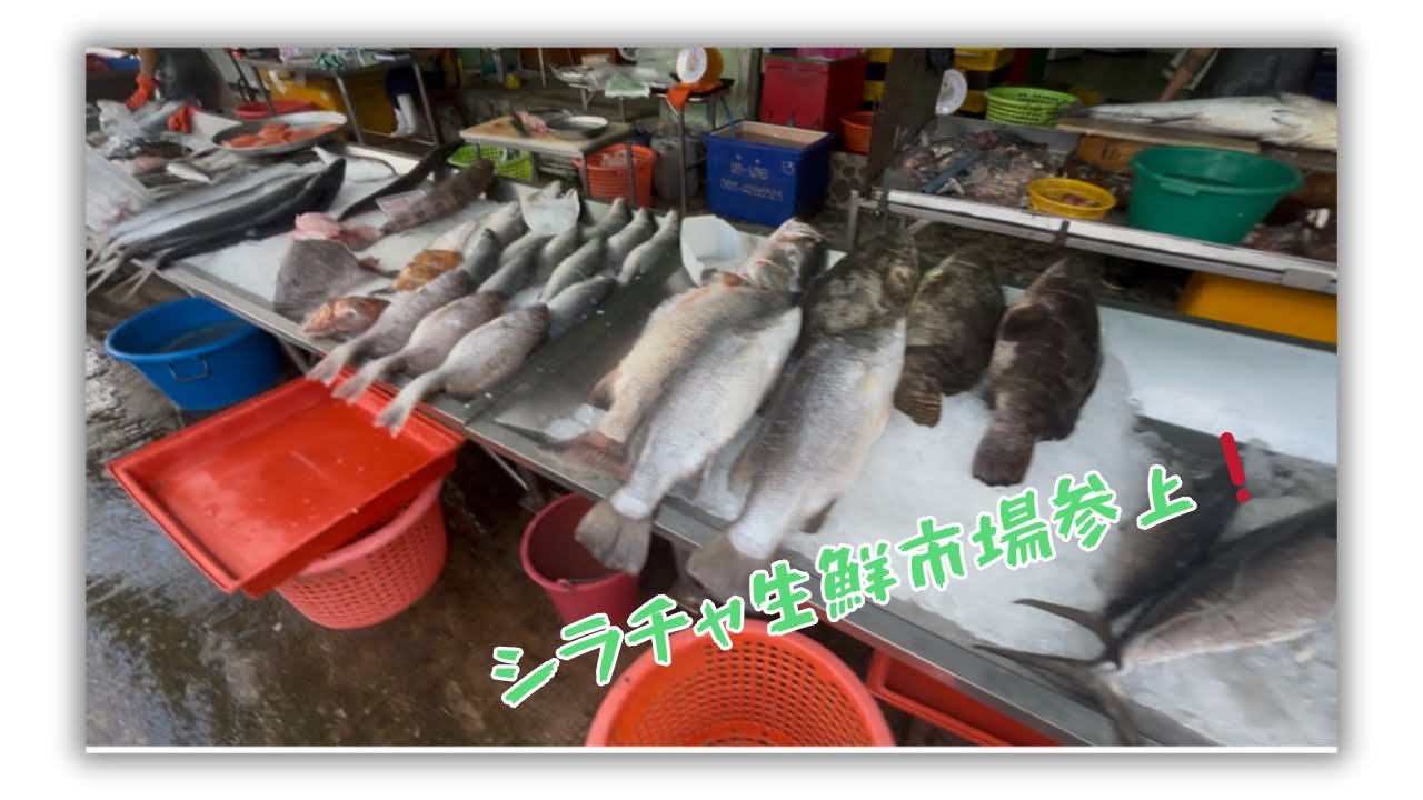 シラチャ生鮮市場に参上❗️