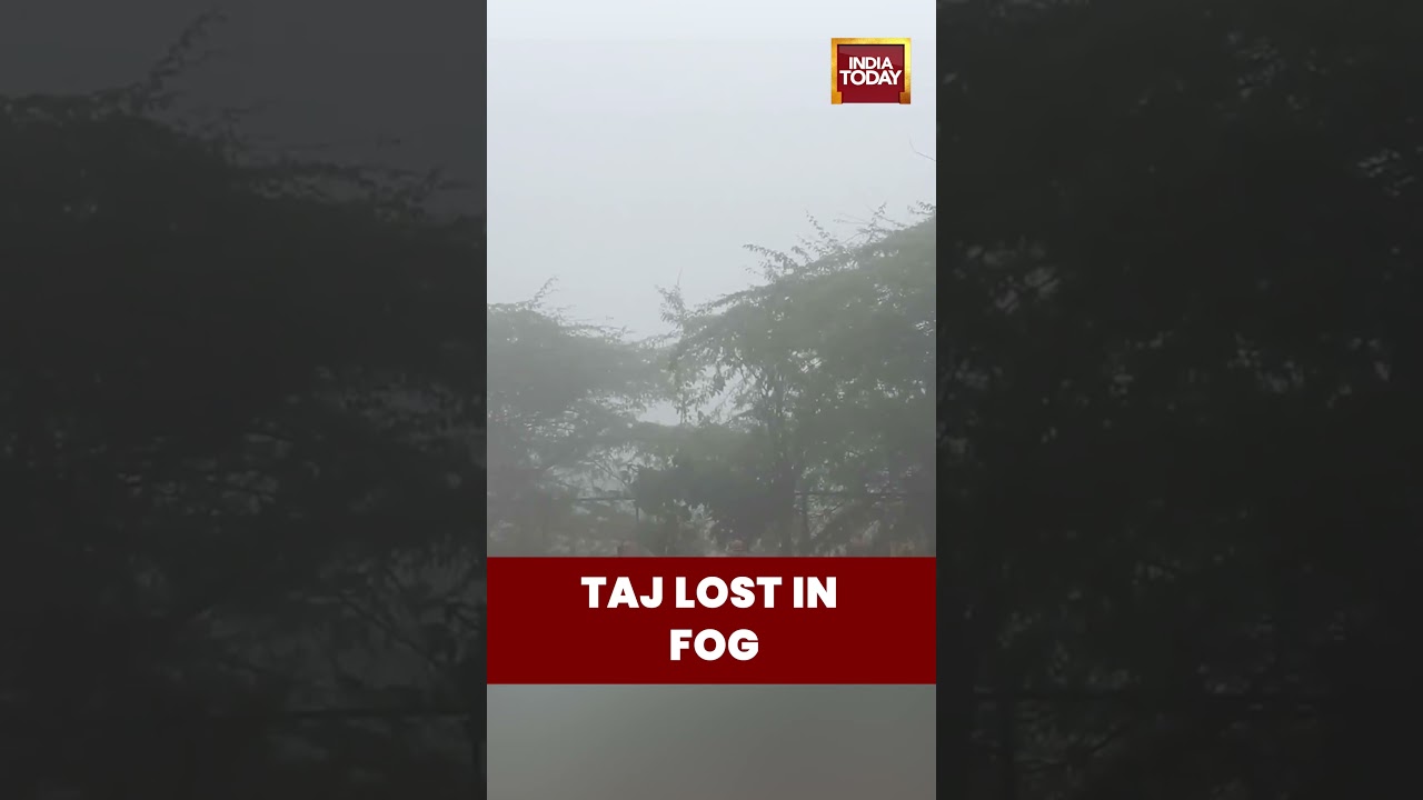 Taj Mahal Disappears As Dense Fog Engulfs Agra, Shocking Morning Visuals From Uttar Pradesh