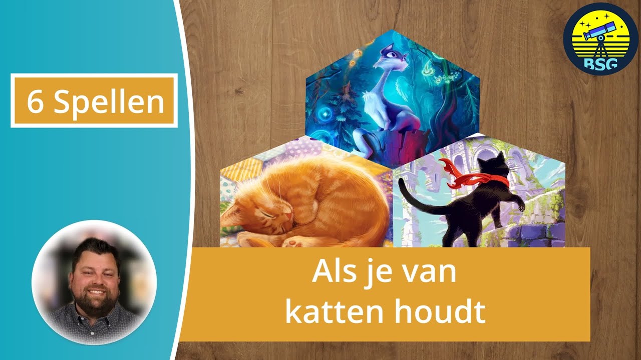 6 spellen - Als je van katten houdt - (NL)