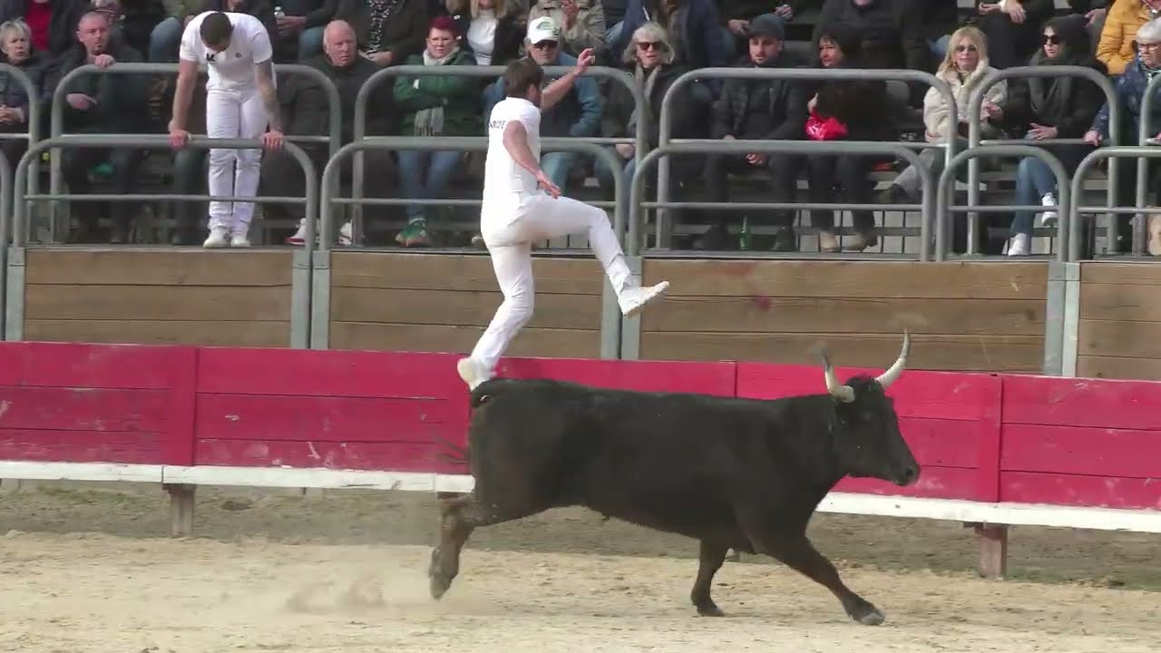 VENDARGUES (15/03/2026) - Le résumé de la course