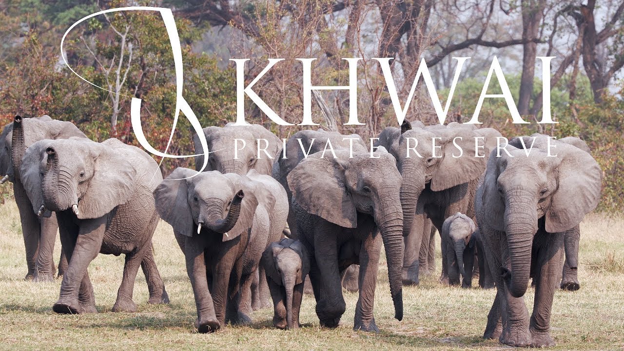 Khwai Private Reserve, Sable Alley, Hyena Pan and Skybeds - Botswana.Natural Selection Travel