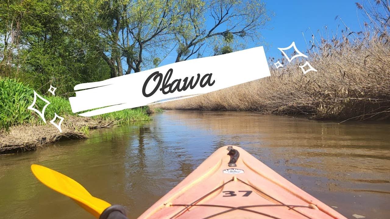 Spływ kajakowy Oławą pod Wrocławiem - dolnośląskie kajaki