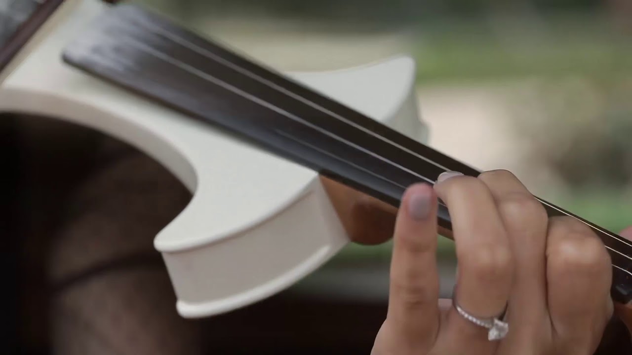 &ldquo;Lily&rdquo; by Alan Walker, K-391 & Emilie Hollow, violin cover by Elena Thedvall