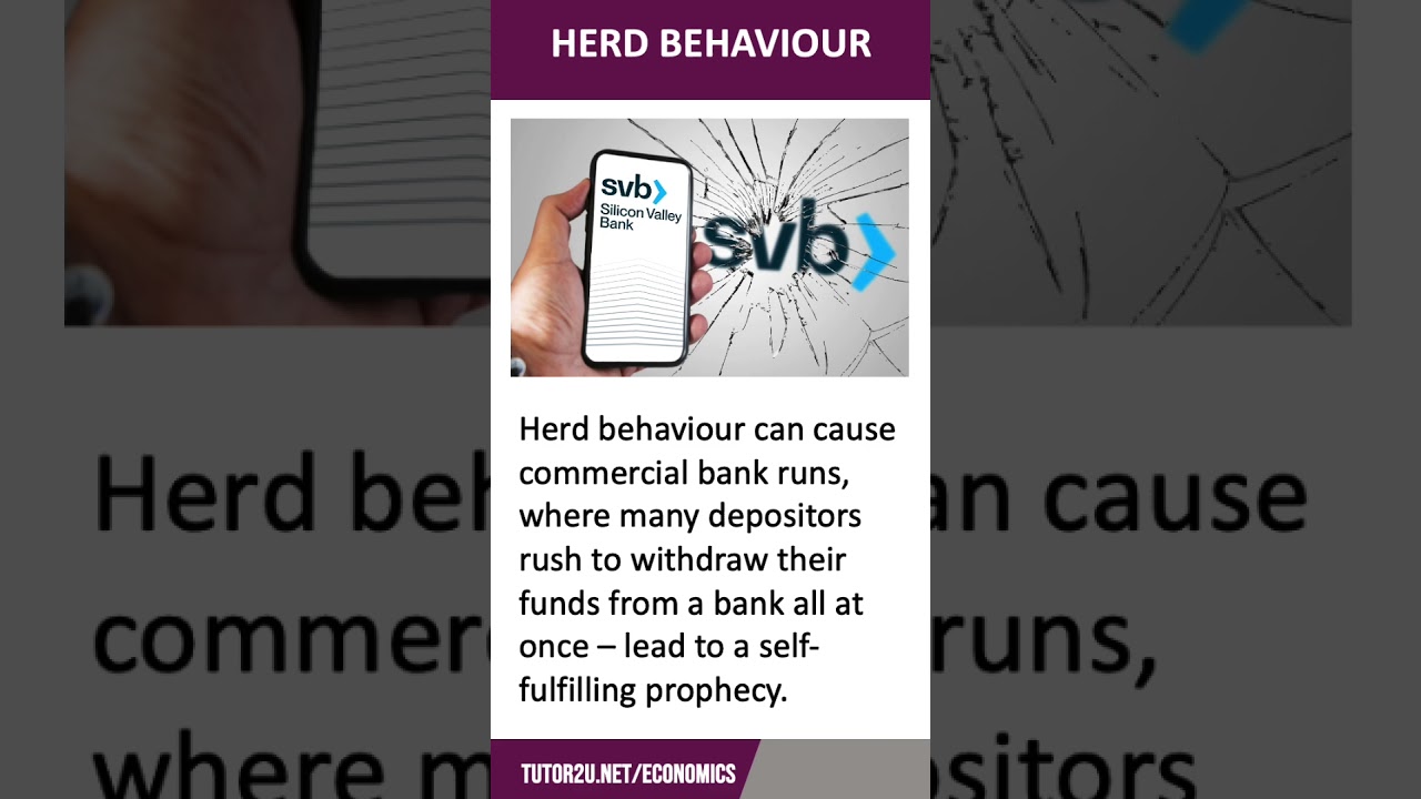 What is Herd Behaviour? - 60 Second Economics
