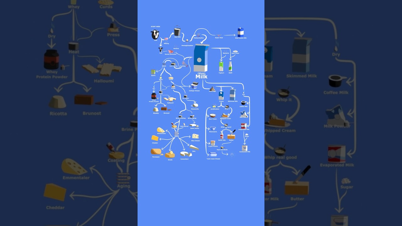 The Entire Tech Tree of Milk in 1 Minute
