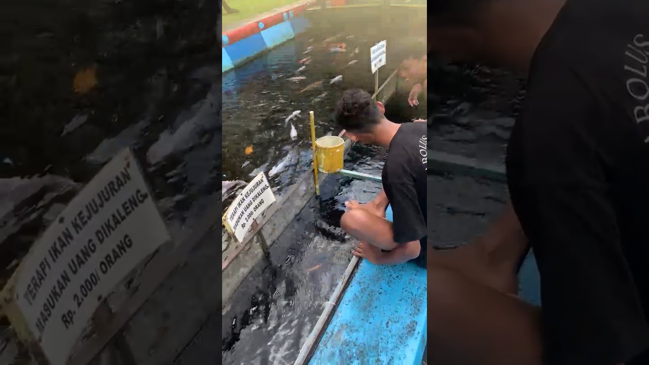 TERAPI IKAN KEJUJURAN KOLAM RENANG AKADEMI MILITER SOEKOTJO MAGELANG